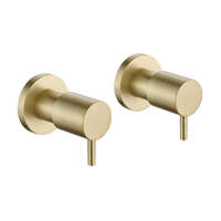 Luxury Wall Top Assemblies Brushed Gold