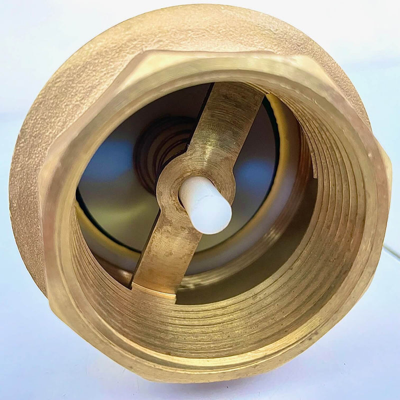 Spring Loaded Foot Valve Non Return Valve 1-1/2" — image 2