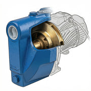 Rural Max Garden Pressure Pump with Automatic Pressure Control RM-JP100-E — image 7