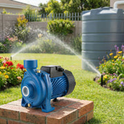 Rural Max Centrifugal Water Pump 1HP RM-TF1 — image 11