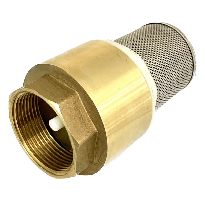 Spring Loaded Foot Valve Non Return Valve 1-1/2" — image 1