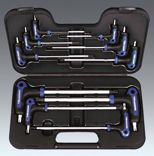 AMPRO 10PC T-Handle Tamper-Proof Star And Star Wrench Set (T10-T55) T22900 — image 1