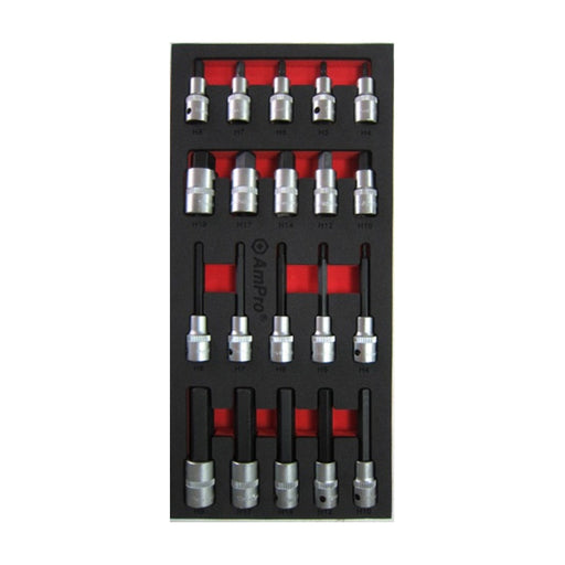 Ampro 1/2" Drive Hex Bit Sockets 20 Piece TS43217 — image 1